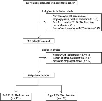A novel web-based dynamic nomogram for recurrent laryngeal nerve lymph node metastasis in esophageal squamous cell carcinoma